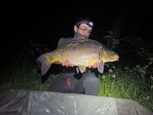 Mirror Carp