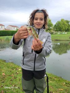 European Perch