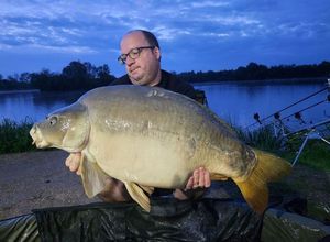 Mirror Carp