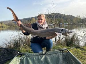 Sturgeon