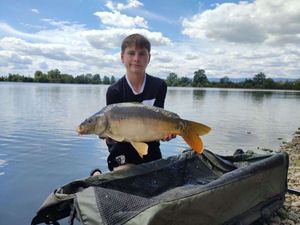 Mirror Carp