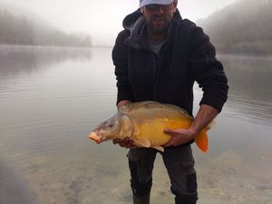 Mirror Carp