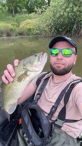 Largemouth Bass
