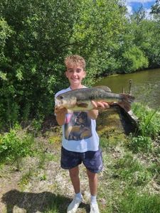 Largemouth Bass