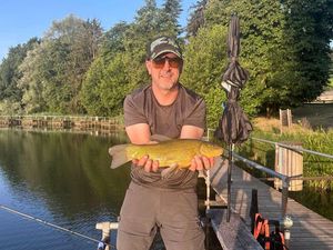 Tench