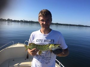 Northern Pike