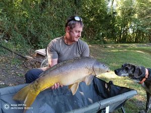 Mirror Carp