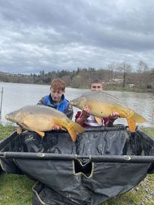 Mirror Carp