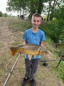 Mirror Carp
