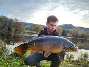 Mirror Carp