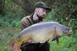 Mirror Carp