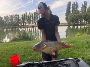 Common Carp
