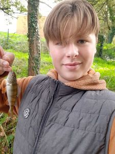 European Perch
