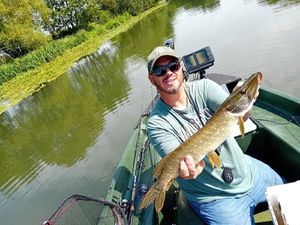 Northern Pike