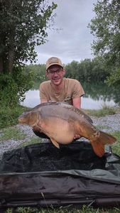 Mirror Carp