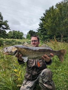 Zander