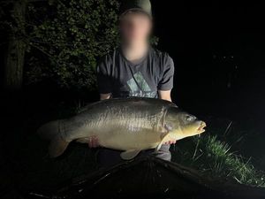 Mirror Carp