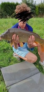 Common Carp
