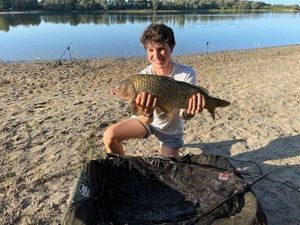 Common Carp