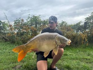 Mirror Carp