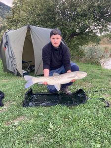 Grass Carp