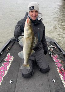 Zander