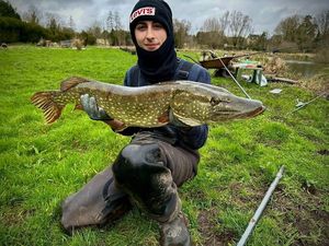 Northern Pike