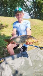 Common Carp