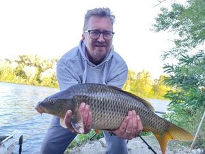 Common Carp