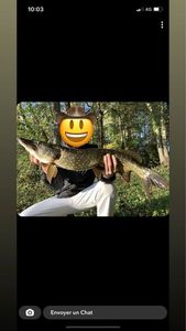 Northern Pike