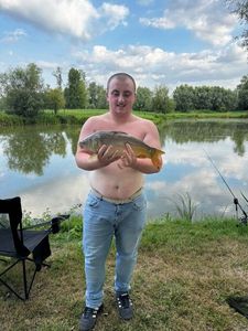 Mirror Carp
