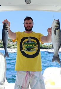 European Bass (Seabass)