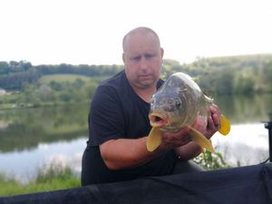 Mirror Carp
