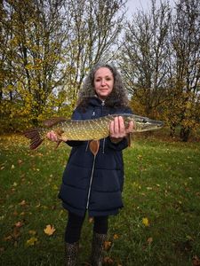Northern Pike