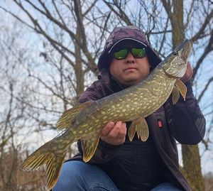 Northern Pike