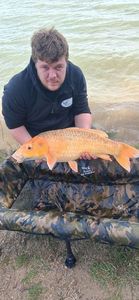 Koï Fish
