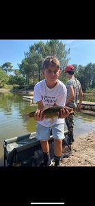 Mirror Carp