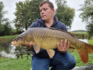 Common Carp