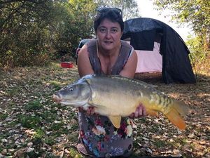 Mirror Carp