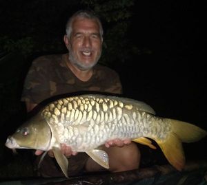 Common Carp