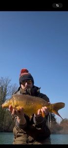 Leather Carp