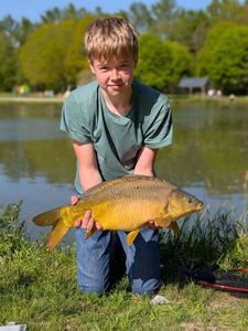 Mirror Carp