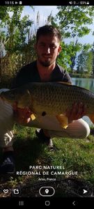 Common Carp
