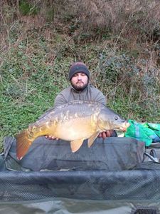 Mirror Carp