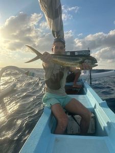 Dolphinfish