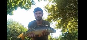 Mirror Carp
