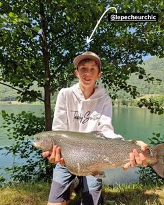 Cutthroat Trout