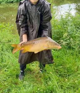 Leather Carp