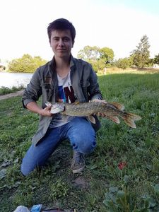 Northern Pike