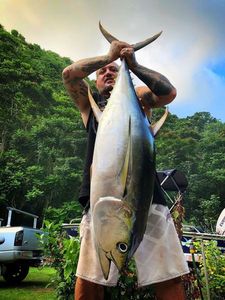 Bigeye Tuna (Pacific)